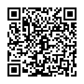 QR 463a61e