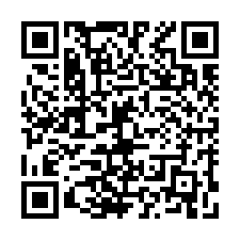 QR 463a877