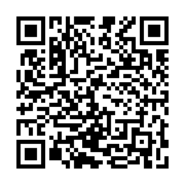 QR 463b6c8