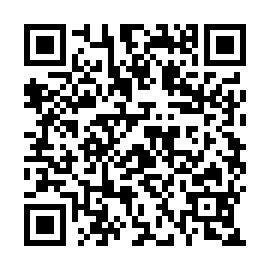 QR 463bddb