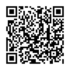 QR 463cde4