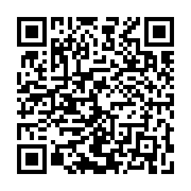 QR 463ce28