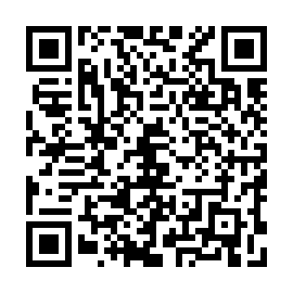 QR 463e785