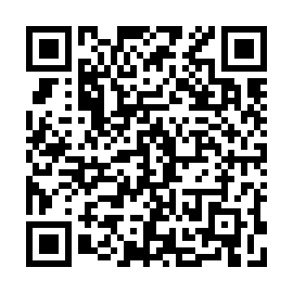 QR 463ecab
