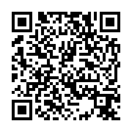 QR 463f739