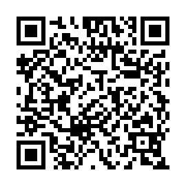 QR 46b4063