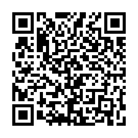 QR 46bf4a2