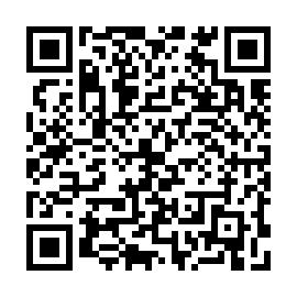 QR 4771911
