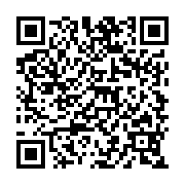 QR 4780295