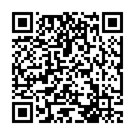 QR 4849a53