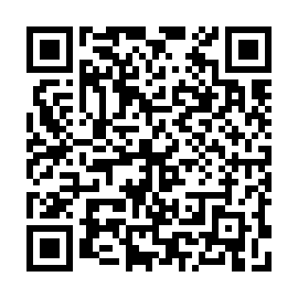 QR 48c3531