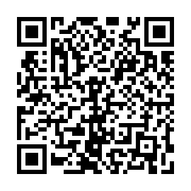QR 48dc533