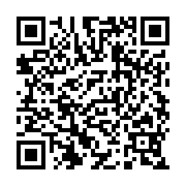 QR 491593b