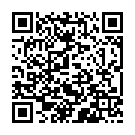 QR 493523b