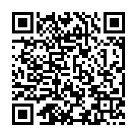 QR 493a793