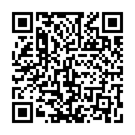 QR 493b47f