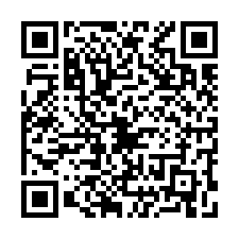 QR 493b99d
