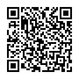 QR 493bead