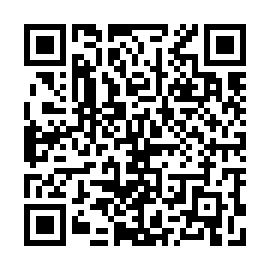 QR 493c546