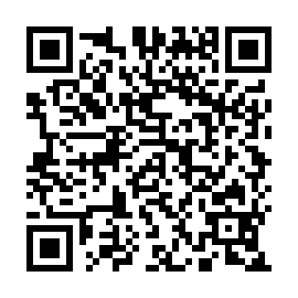 QR 493da4a