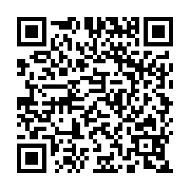 QR 493e17a