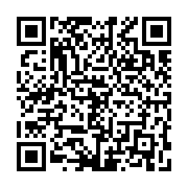 QR 493f480