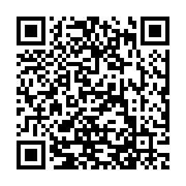 QR 493f85f