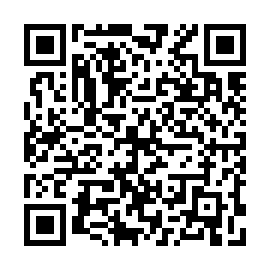 QR 493fe41