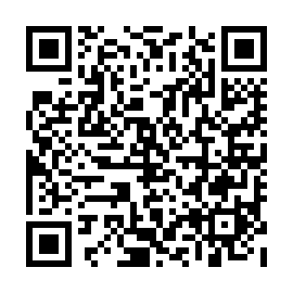 QR 493fee3