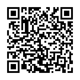QR 495ab88