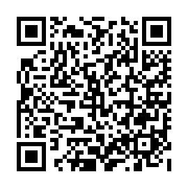 QR 496fb33