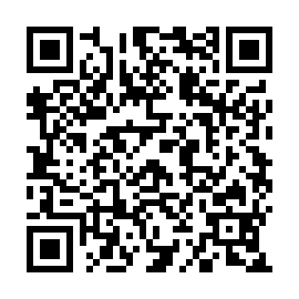 QR 498bc3b