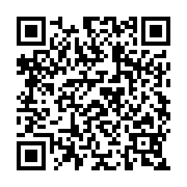 QR 499253b