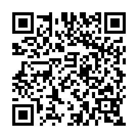 QR 4993fe1