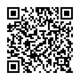 QR 49b3853