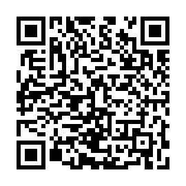 QR 4a081a8