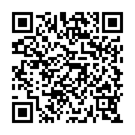 QR 4a206be