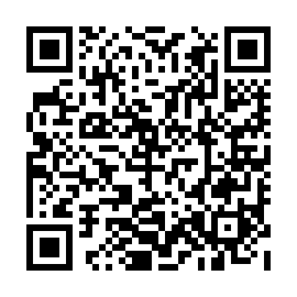 QR 4a46933