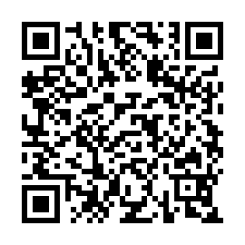 QR 4a6050b