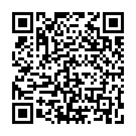 QR 4a9009b