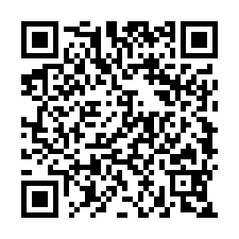 QR 4a9561d
