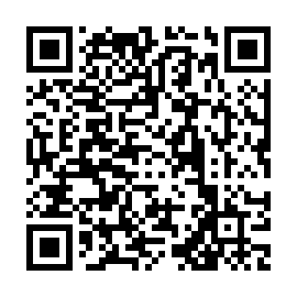 QR 4aa3029