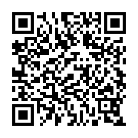 QR 4ae117b