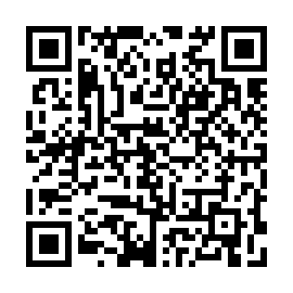 QR 4afe530