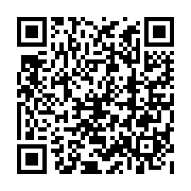QR 4b17ebd