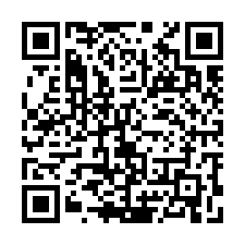 QR 4b18596