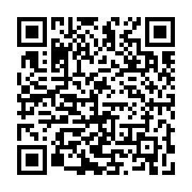 QR 4b2d038
