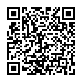 QR 4b3c483