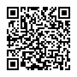 QR 4b3d238