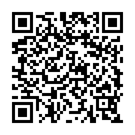 QR 4b80784